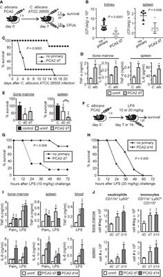 GM-CSF Programs Hematopoietic Stem and Progenitor Cells During Candida albicans Vaccination for Protection Against Reinfection